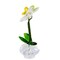 Crystal Expressions 4.0 Inch Orchid Figurine Everyday Figurine , Lightweight Everyday Decor Potted Orchid